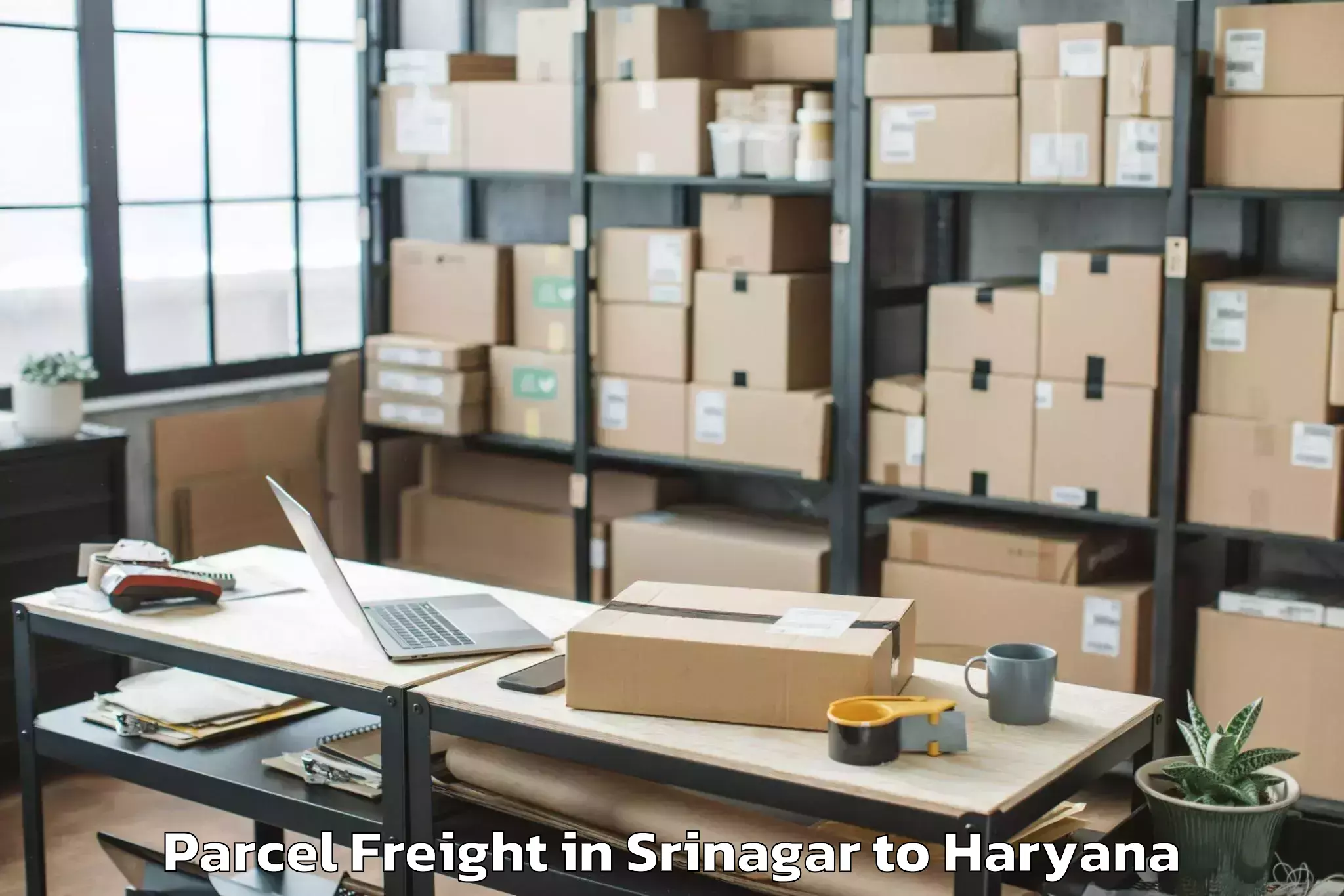 Srinagar to Sonipat Parcel Freight